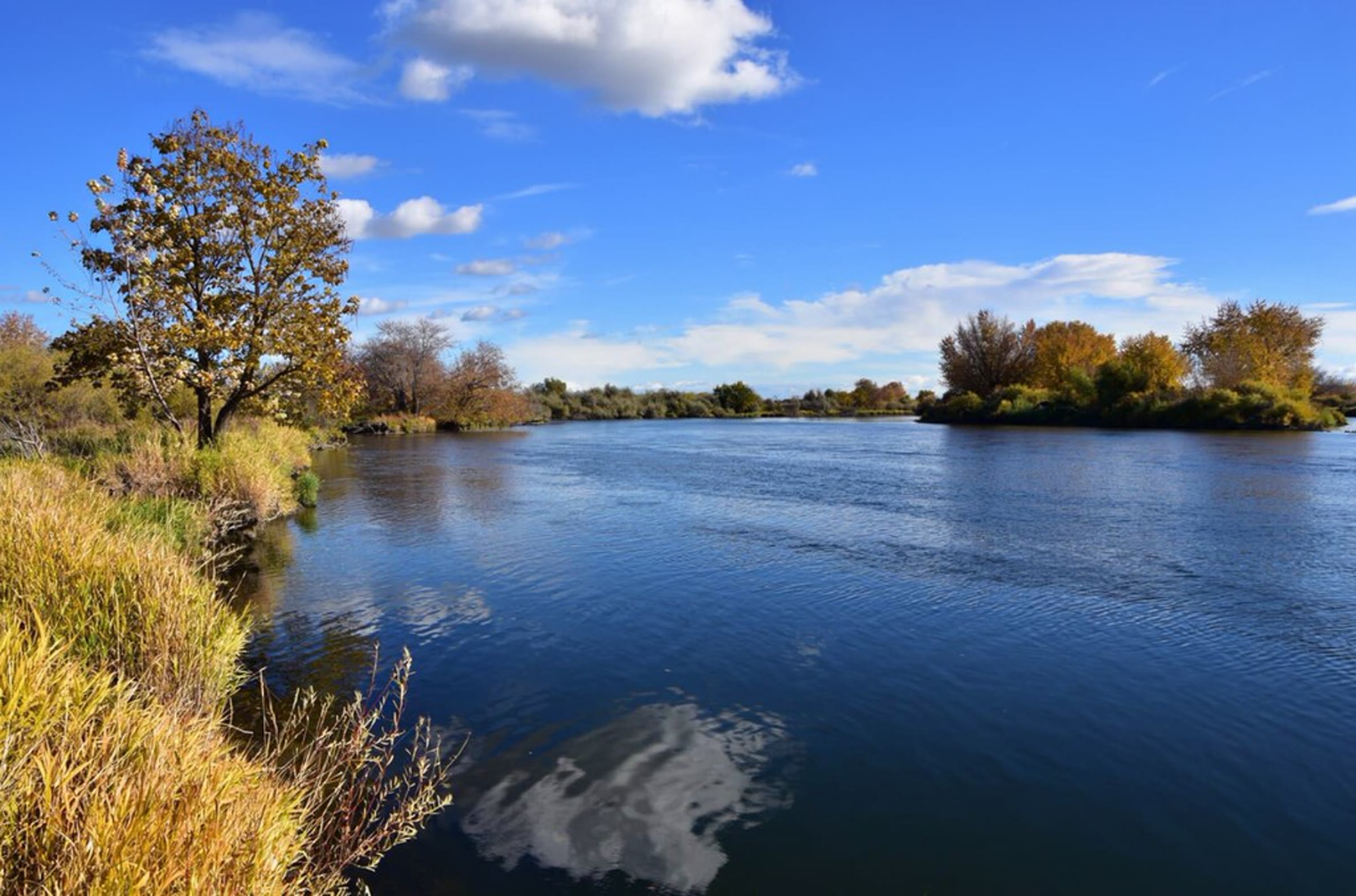Yakima River corridor near West Richland, Washington, with autumn trees under a clear blue sky