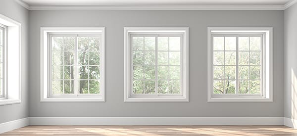 windows