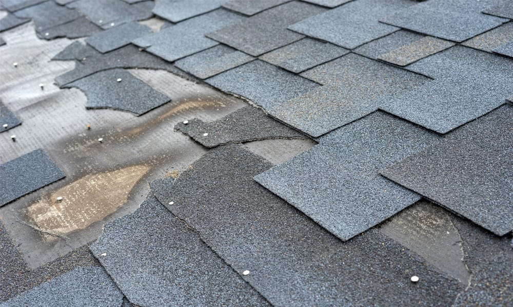 roof repair