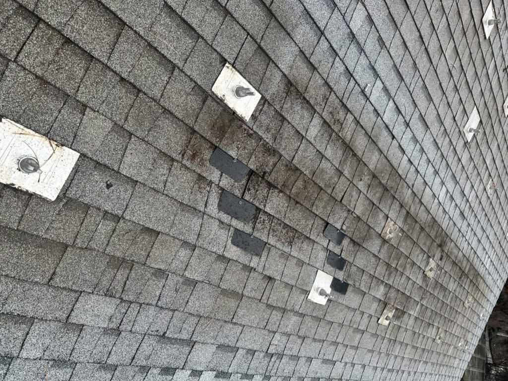 img 9790