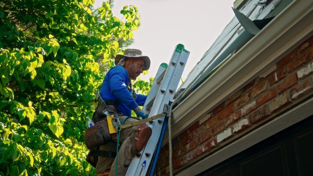 still2025 06 20100256 2.27.1